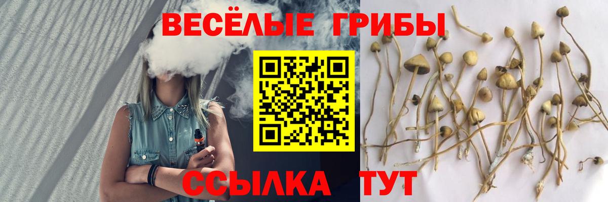 Псилоцибиновые грибы GOLDEN TEACHER  Галлюциногенные грибы Psilocybine cubensis  Красноуфимск  Вход с VPN 